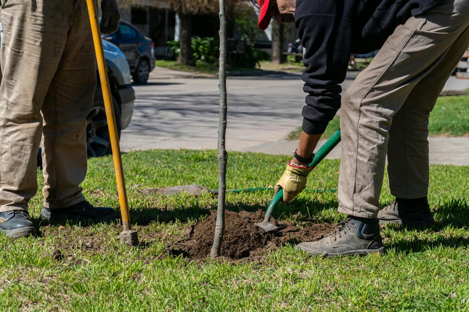 Temporada de plantaciones